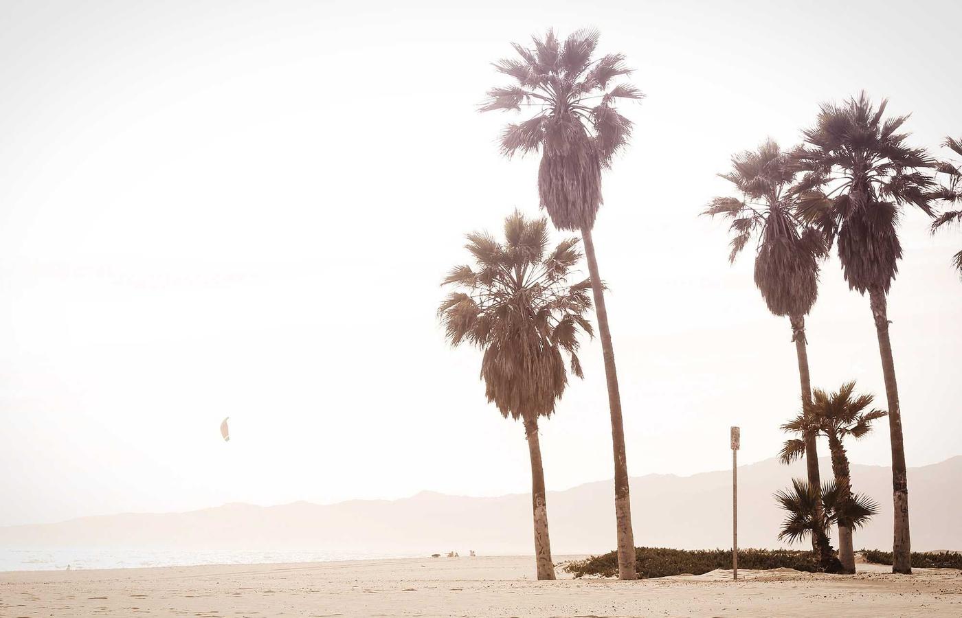 Equipo trabajando en diseño 3D y realidad virtual