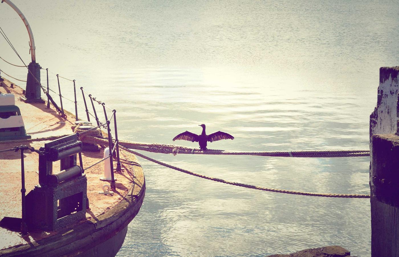 Desarrollo de Juegos AR